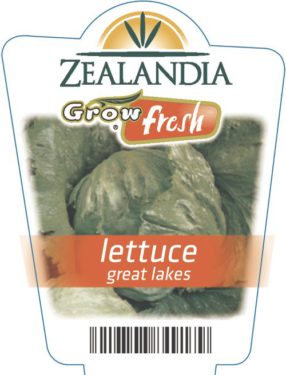 Lettuce Great Lakes