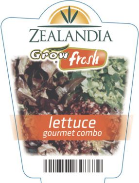 Lettuce Gourmet Combo