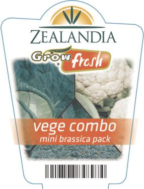 Vege Combo Mini Brassica Pack
