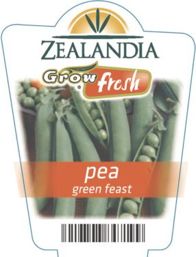 Pea Green Feast