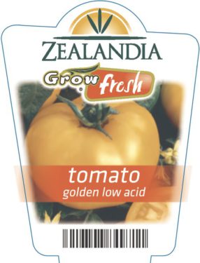 Tomato Golden Low Acid