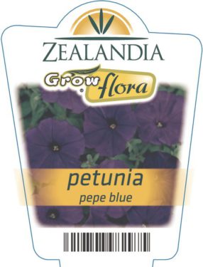 Petunia Pepe Blue