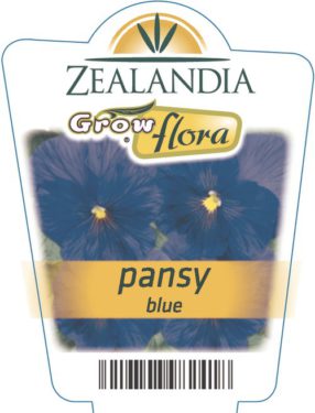 Pansy Blue