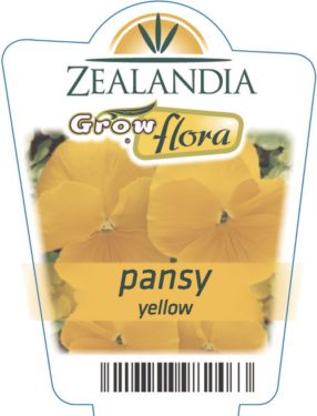 Pansy Yellow