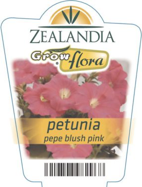 Petunia Pepe Blush Pink