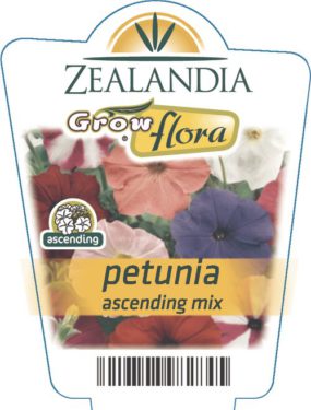 Petunia Ascending Mix