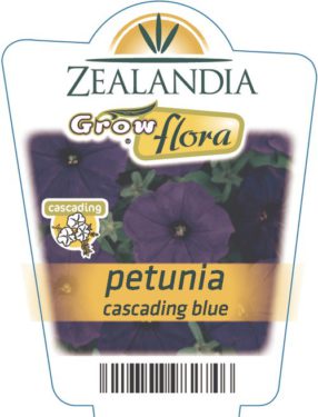 Petunia Cascading Blue