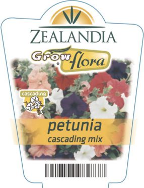 Petunia Cascading Mix