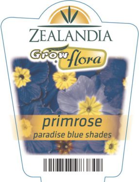 Primrose Paradise Blue Shades