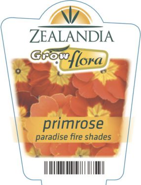 Primrose Paradise Fire Shades