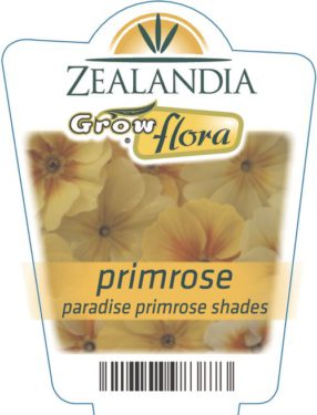 Primrose Paradise Primrose Shades