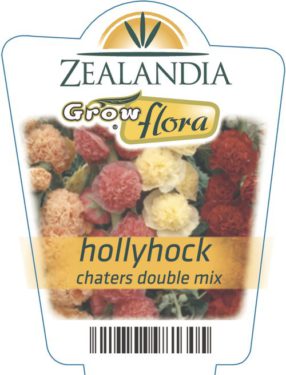 Hollyhock Chaters Double Mix