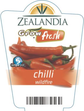 chilli wildfire