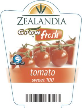 tomato sweet 100