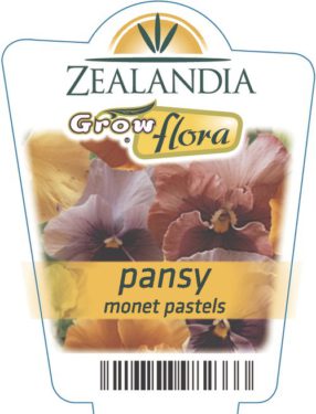 Pansy Monet Pastels