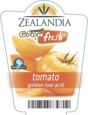 tomato golden low acid
