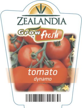 Tomato Dynamo