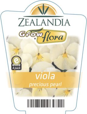 Viola Precious Pearl