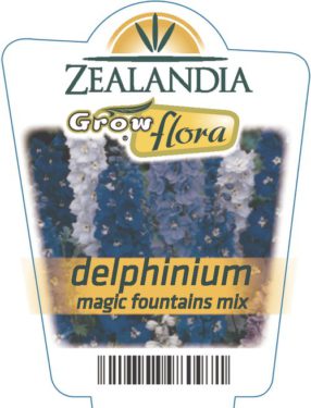 Delphinium Magic Fountains Mix