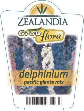 Delphinium Pacific Giants Mix