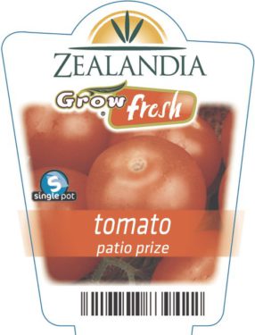 tomato patio prize
