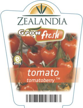 tomato tomatoberry