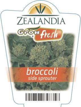 Broccoli Side Sprouter
