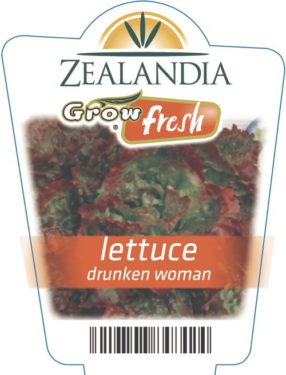 Lettuce Drunken Woman