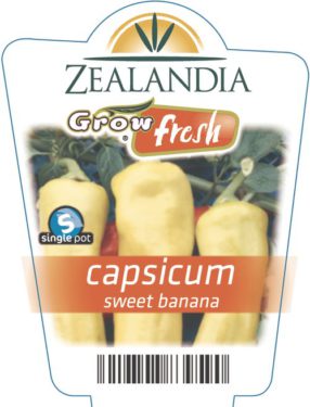 capsicum sweet banana