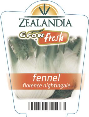 Fennel Florence Nightingale