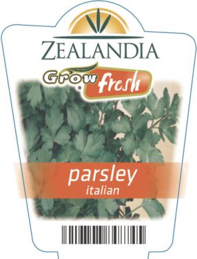 Parsley Italian
