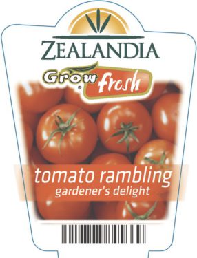 Tomato Rambling Gardener's Delight