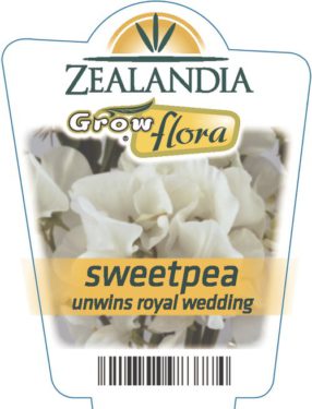 Sweetpea Unwins Royal Wedding