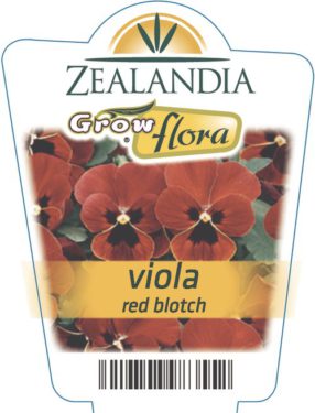 Viola Red Blotch