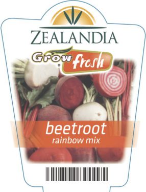 Beetroot Rainbow Mix