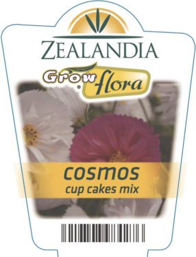 Cosmos Cup Cakes Mix